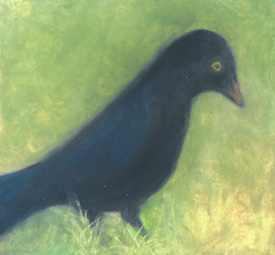 nil